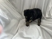 processed/3ef095c6-5065-49fd-b2bc-2d90de87488a/listing/6111753d-8444-47ff-bbd0-50555d0971c2/adec7cca-91f9-4b6c-b55b-5df22d717ec6