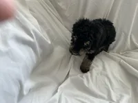 processed/3ef095c6-5065-49fd-b2bc-2d90de87488a/listing/6111753d-8444-47ff-bbd0-50555d0971c2/cb7d5657-3c18-496e-a415-73ef584a8ce9