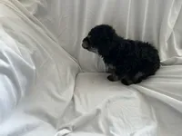 processed/3ef095c6-5065-49fd-b2bc-2d90de87488a/listing/6111753d-8444-47ff-bbd0-50555d0971c2/ded6ee52-8acb-48eb-a109-097950b988fe