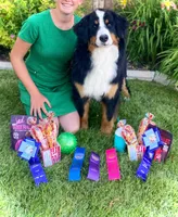 Rey, a male Bernese Mountain Dog for sale in Weston, ID – 2 of 2
