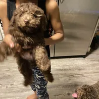 processed/3ef278bd-ded8-416d-ba68-c64ccae02c1c/facility/03041f64-241a-42e0-bb34-5fed0e6be6e9