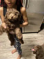 processed/3ef278bd-ded8-416d-ba68-c64ccae02c1c/facility/03041f64-241a-42e0-bb34-5fed0e6be6e9