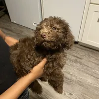 processed/3ef278bd-ded8-416d-ba68-c64ccae02c1c/facility/0698f027-9624-4e73-94d4-b09f031a5456