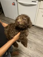 processed/3ef278bd-ded8-416d-ba68-c64ccae02c1c/facility/0698f027-9624-4e73-94d4-b09f031a5456