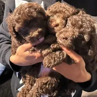 processed/3ef278bd-ded8-416d-ba68-c64ccae02c1c/facility/08a6bf38-fb48-4d74-b932-c97462859ff9