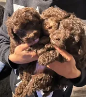 processed/3ef278bd-ded8-416d-ba68-c64ccae02c1c/facility/08a6bf38-fb48-4d74-b932-c97462859ff9