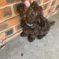 processed/3ef278bd-ded8-416d-ba68-c64ccae02c1c/facility/2aa97163-1ea3-4498-a44a-c9a965d72852