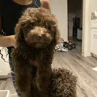 processed/3ef278bd-ded8-416d-ba68-c64ccae02c1c/facility/39b60064-494d-480e-92ff-da548a59a403