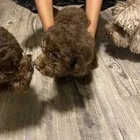 processed/3ef278bd-ded8-416d-ba68-c64ccae02c1c/facility/5fb2d52c-0eb5-4bf5-8212-abe695a25472