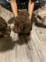 processed/3ef278bd-ded8-416d-ba68-c64ccae02c1c/facility/5fb2d52c-0eb5-4bf5-8212-abe695a25472