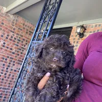 processed/3ef278bd-ded8-416d-ba68-c64ccae02c1c/facility/838357a3-3e36-42e6-bdfb-4fca2fd364ff