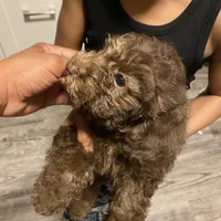 processed/3ef278bd-ded8-416d-ba68-c64ccae02c1c/facility/85a8b2e9-c57d-4387-9db9-a6f87d76d2c7