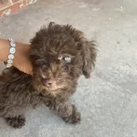 processed/3ef278bd-ded8-416d-ba68-c64ccae02c1c/facility/ace9a1bb-6e50-40d8-8246-bc788dcb6f0b