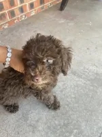 processed/3ef278bd-ded8-416d-ba68-c64ccae02c1c/facility/ace9a1bb-6e50-40d8-8246-bc788dcb6f0b