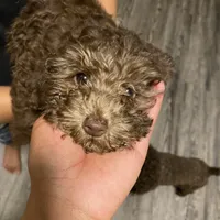 processed/3ef278bd-ded8-416d-ba68-c64ccae02c1c/facility/ff1216c4-7177-431d-b0e8-ed9b625c06cd