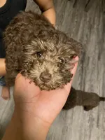 processed/3ef278bd-ded8-416d-ba68-c64ccae02c1c/facility/ff1216c4-7177-431d-b0e8-ed9b625c06cd