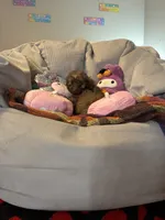 processed/3ef278bd-ded8-416d-ba68-c64ccae02c1c/listing/a6cec7bf-449f-47c3-a0a6-9ae764e1090b/164b7b92-3093-4141-aa0b-87c7a946f234