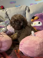 processed/3ef278bd-ded8-416d-ba68-c64ccae02c1c/listing/a6cec7bf-449f-47c3-a0a6-9ae764e1090b/8411dc97-b3e2-49a3-8867-3666128490de