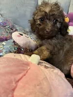 processed/3ef278bd-ded8-416d-ba68-c64ccae02c1c/listing/a6cec7bf-449f-47c3-a0a6-9ae764e1090b/b8974f2c-4bf0-414e-9f7c-fdd6dca52668