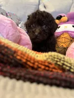 processed/3ef278bd-ded8-416d-ba68-c64ccae02c1c/listing/fb6b8a04-430f-4d3a-9805-dc41ceca6dd9/0aad041f-720f-42b2-92b8-a6d93b7558b6