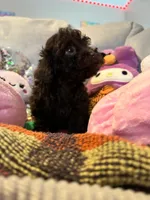 processed/3ef278bd-ded8-416d-ba68-c64ccae02c1c/listing/fb6b8a04-430f-4d3a-9805-dc41ceca6dd9/45a97693-5742-4d54-b6fc-ad87911f9d31