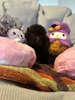 processed/3ef278bd-ded8-416d-ba68-c64ccae02c1c/listing/fb6b8a04-430f-4d3a-9805-dc41ceca6dd9/912af2eb-cbeb-445b-8f99-d08892b05ce5