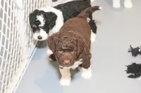 processed/3efd5b66-452a-4fd6-b361-3f809d66b7fa/listing/21c0b95f-d4fb-4fbb-ab86-eb4887ac5a3d/2d2cf356-fcd5-4170-8b69-576a17969b3a