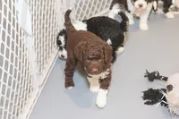 processed/3efd5b66-452a-4fd6-b361-3f809d66b7fa/listing/21c0b95f-d4fb-4fbb-ab86-eb4887ac5a3d/2e02e0e1-9f1e-47e5-8cfc-68af043a8dfb