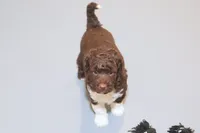 processed/3efd5b66-452a-4fd6-b361-3f809d66b7fa/listing/21c0b95f-d4fb-4fbb-ab86-eb4887ac5a3d/57e220c3-2906-4da0-9076-177f23fa58a4