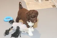 processed/3efd5b66-452a-4fd6-b361-3f809d66b7fa/listing/21c0b95f-d4fb-4fbb-ab86-eb4887ac5a3d/8a2ec73b-6756-4ff0-8c55-36a0cb022c1d