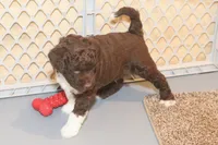 processed/3efd5b66-452a-4fd6-b361-3f809d66b7fa/listing/21c0b95f-d4fb-4fbb-ab86-eb4887ac5a3d/c61c5f17-e468-42fc-aefc-2968aeea7eb8