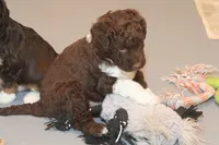 processed/3efd5b66-452a-4fd6-b361-3f809d66b7fa/listing/21c0b95f-d4fb-4fbb-ab86-eb4887ac5a3d/eba773e5-a20d-40bf-aac2-f124107d4d6e