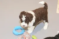 processed/3efd5b66-452a-4fd6-b361-3f809d66b7fa/listing/a6fc52d4-28ad-4d66-857d-ebfa59a6f07f/344dfaf1-9d2a-4fa4-a973-f8a7197e4706