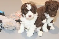 processed/3efd5b66-452a-4fd6-b361-3f809d66b7fa/listing/a6fc52d4-28ad-4d66-857d-ebfa59a6f07f/3b059eac-7bb4-4229-b0e3-c4f0c953ba4a