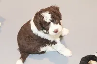 processed/3efd5b66-452a-4fd6-b361-3f809d66b7fa/listing/a6fc52d4-28ad-4d66-857d-ebfa59a6f07f/9fdab63a-6bc8-41d5-833b-1b9bbdd1088d