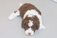 processed/3efd5b66-452a-4fd6-b361-3f809d66b7fa/listing/a6fc52d4-28ad-4d66-857d-ebfa59a6f07f/bc010d3c-6386-473f-b9e7-84be22ac26fb