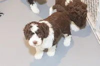 processed/3efd5b66-452a-4fd6-b361-3f809d66b7fa/listing/a6fc52d4-28ad-4d66-857d-ebfa59a6f07f/be3155da-51fc-49c9-8017-4aee5a2bd0ed