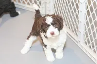 processed/3efd5b66-452a-4fd6-b361-3f809d66b7fa/listing/a6fc52d4-28ad-4d66-857d-ebfa59a6f07f/f0d1e28e-3153-497f-8ab4-11cc5850e4da