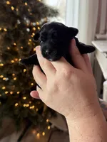 processed/3f0028f1-a0b6-425e-bb84-96ea33f96ded/listing/065639f0-25d0-405c-b4e8-fd213d33b75c/c3b0d8e0-0ec5-40bb-8e93-a489cc175baa