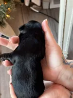 processed/3f0028f1-a0b6-425e-bb84-96ea33f96ded/listing/f8988bbb-7f28-400e-8a3c-faf78550943e/40c3cc85-ac35-4dc2-894a-6adff4b0f056