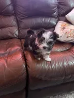 processed/3f06b2b9-54ab-40bb-9fae-fe74285d2be5/listing/2201c519-d3bf-4c2a-bb72-d195595a066b/62ea5cf2-5a23-4127-8e87-99ff3533de4b