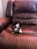 processed/3f06b2b9-54ab-40bb-9fae-fe74285d2be5/listing/2201c519-d3bf-4c2a-bb72-d195595a066b/6fe56d8c-ec4f-4cb6-9f76-ff1339332f3a