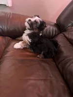 processed/3f06b2b9-54ab-40bb-9fae-fe74285d2be5/listing/2201c519-d3bf-4c2a-bb72-d195595a066b/7a08dc20-60cb-4a27-ae63-15e1e040afd8