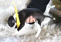 processed/3f0a6eba-c5bf-4faf-8013-c56edc4478e7/listing/33f546d9-46ac-4e17-856f-a76e1f83a7ad/271eaa3e-7bf2-4e4b-82e8-27fadf50ca0a