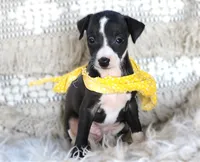 processed/3f0a6eba-c5bf-4faf-8013-c56edc4478e7/listing/33f546d9-46ac-4e17-856f-a76e1f83a7ad/2df454cd-d9e5-4a7d-abfe-a1af3e6e89dc