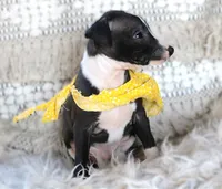 processed/3f0a6eba-c5bf-4faf-8013-c56edc4478e7/listing/33f546d9-46ac-4e17-856f-a76e1f83a7ad/489c8555-083b-462a-8922-c09e03bdeaf6