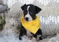 processed/3f0a6eba-c5bf-4faf-8013-c56edc4478e7/listing/33f546d9-46ac-4e17-856f-a76e1f83a7ad/5109ad8a-8ac9-4453-b55e-4f853a1dc3b2