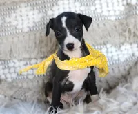 processed/3f0a6eba-c5bf-4faf-8013-c56edc4478e7/listing/33f546d9-46ac-4e17-856f-a76e1f83a7ad/947c7a09-f85f-47f8-aec1-cf896b59db63