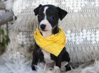 processed/3f0a6eba-c5bf-4faf-8013-c56edc4478e7/listing/33f546d9-46ac-4e17-856f-a76e1f83a7ad/a63d0433-f675-4370-8d0f-9707248200ee