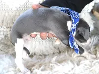 processed/3f0a6eba-c5bf-4faf-8013-c56edc4478e7/listing/3815c1a2-e71d-45a4-8e72-7f18bf2f0731/bee165e3-9ca4-4bd4-8b48-1675d2027f06